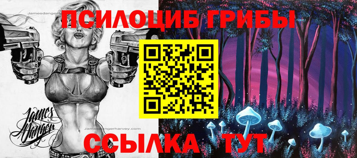 Богородск  Псилоцибиновые грибы MAGIC MUSHROOMS  Вход с VPN  Псилоцибиновые грибы MAGIC MUSHROOMS 